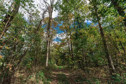 0 Macon, Saline, MI 48176 photo 38