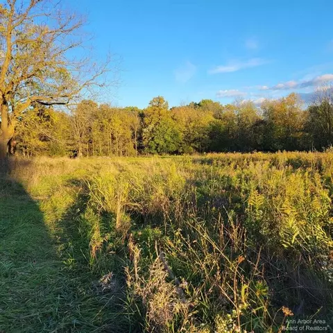 0 Macon, Saline, MI 48176 photo 10