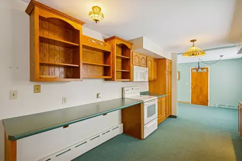 630 N State, Stanton, MI 48888 photo 15
