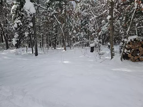 7106 N M-37, Irons, MI 49644