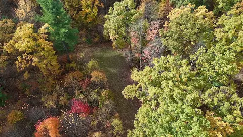 1547 N Harrison, Harrison, MI 48625