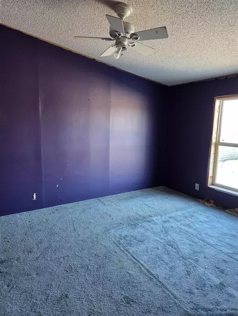3551 N Neff, Edmore, MI 48829 photo 9