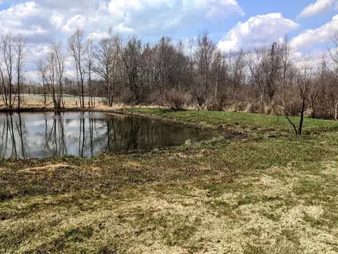 View/Area - 8295 D, Ceresco, MI 49033 photo 2 of 3