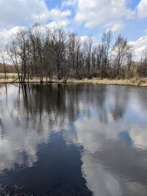 View/Area - 8295 D, Ceresco, MI 49033 photo 3 of 3