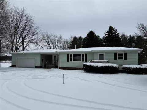 265 Dildine, Ionia, MI 48846