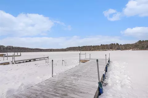 66 Cedar Lk, Chelsea, MI 48118