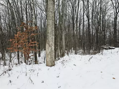 490 Kelley, Reading, MI 49274 photo 34
