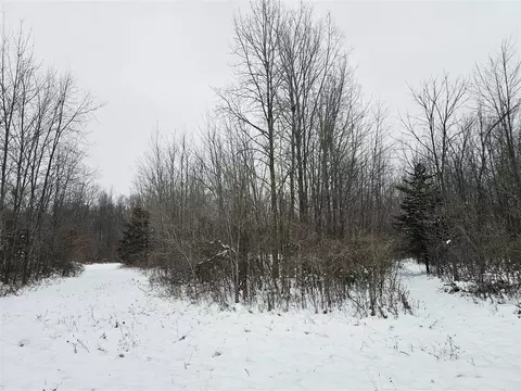 490 Kelley, Reading, MI 49274 photo 18
