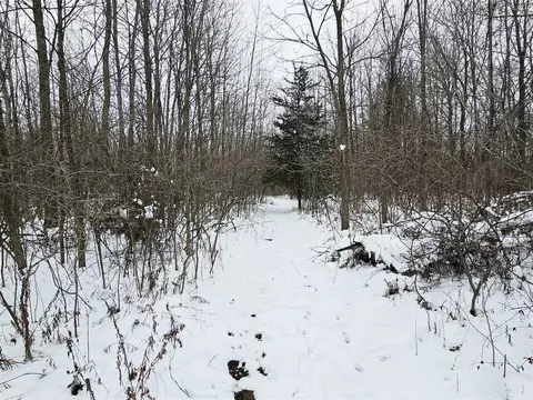 490 Kelley, Reading, MI 49274 photo 27