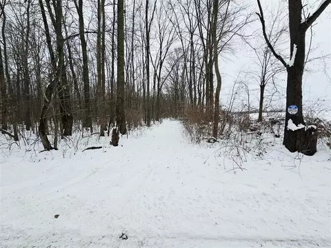 490 Kelley, Reading, MI 49274 photo 23