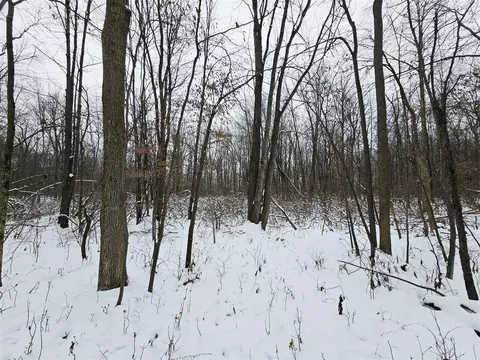 490 Kelley, Reading, MI 49274 photo 33