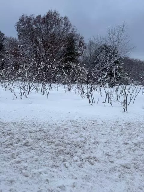 Mason, Newaygo, MI 49337