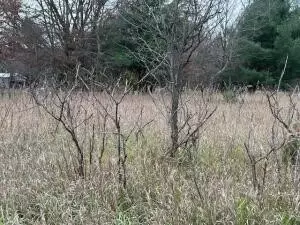 Mason, Newaygo, MI 49337 photo 2