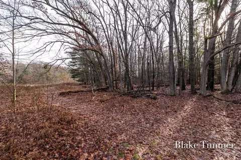 0 E 88th, Newaygo, MI 49337 photo 3