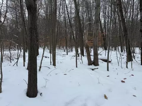 12066 Red Feather, Canadian Lakes, MI 49346