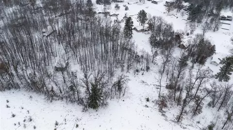 8209 W Royal Rd, Canadian Lakes, MI 49346