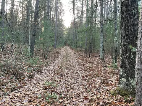 V/l Forest Service 8433/pomeroy Sp, Irons, MI 49644