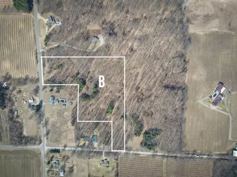 Parcel B S 88th, New Era, MI 49446