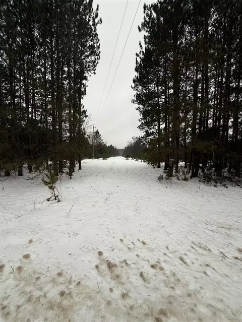 14124 Healy Lk, Bear Lake, MI 49614