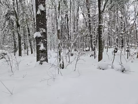 V/l S Whalen Lake, Baldwin, MI 49304