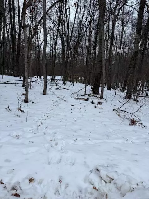 12090 Regina, Canadian Lakes, MI 49346