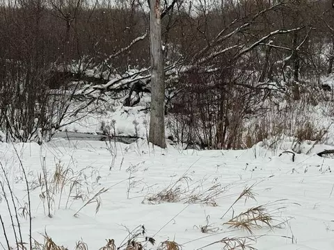 Apache, Reed City, MI 49677
