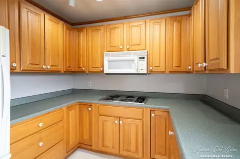6062 Ashley, Belding, MI 48809 photo 26