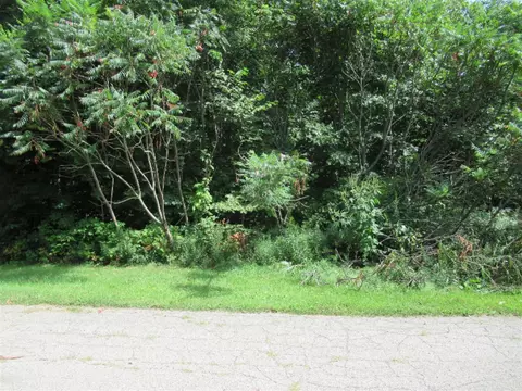 Tract 3 Deep Woods, Cassopolis, MI 49031