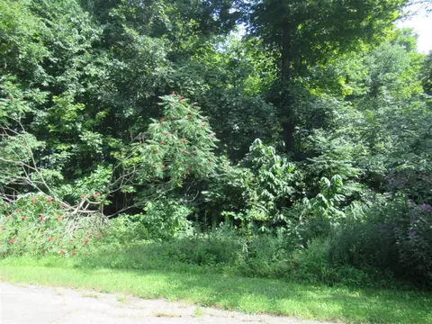 Tract 7 Brookside, Cassopolis, MI 49031