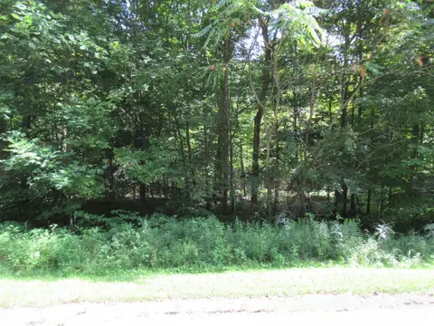 Tract 6 Brookside, Cassopolis, MI 49031