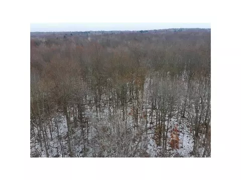 34919 76th, Covert, MI 49043 photo 5