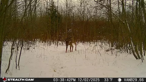 Vl 32nd, Covert, MI 49043 photo 41