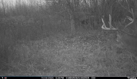Vl 32nd, Covert, MI 49043 photo 42