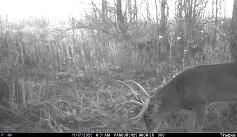 Vl 32nd, Covert, MI 49043 photo 49