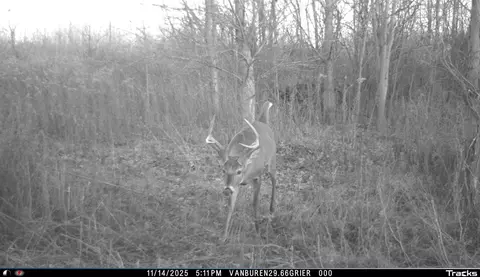 Vl 32nd, Covert, MI 49043 photo 46