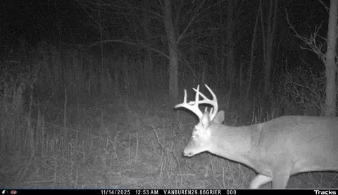 Vl 32nd, Covert, MI 49043 photo 47