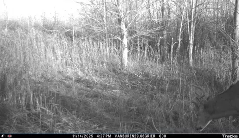 Vl 32nd, Covert, MI 49043 photo 48