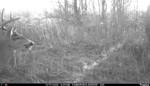 Vl 32nd, Covert, MI 49043 photo 45