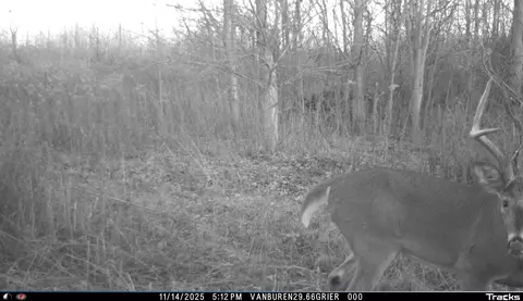 Vl 32nd, Covert, MI 49043 photo 44