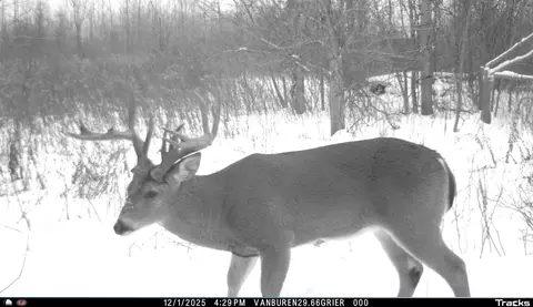 Vl 32nd, Covert, MI 49043 photo 39