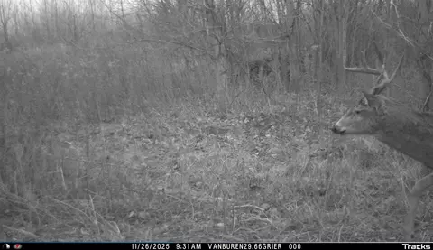 Vl 32nd, Covert, MI 49043 photo 43