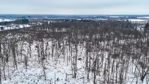 S Santiago, Au Gres, MI 48703 photo 12