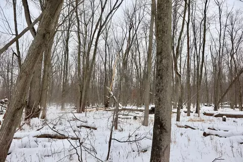 S Santiago, Au Gres, MI 48703 photo 20