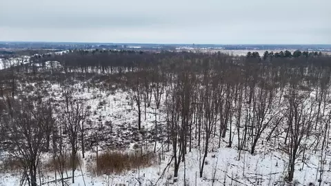 S Santiago, Au Gres, MI 48703 photo 13