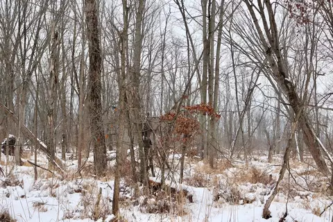 S Santiago, Au Gres, MI 48703 photo 8