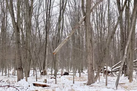 S Santiago, Au Gres, MI 48703 photo 22