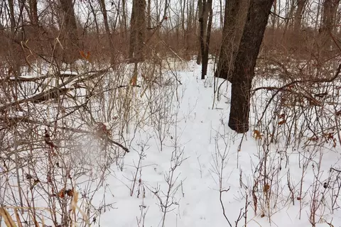 S Santiago, Au Gres, MI 48703 photo 16