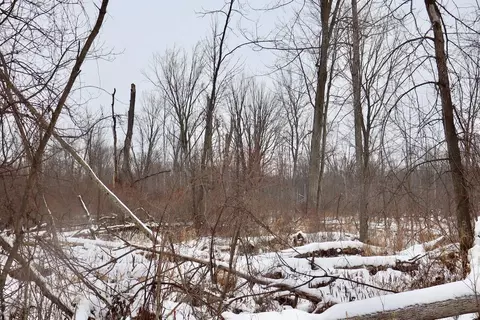 S Santiago, Au Gres, MI 48703 photo 17