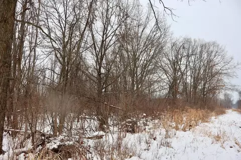 S Santiago, Au Gres, MI 48703 photo 4
