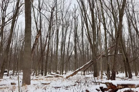 S Santiago, Au Gres, MI 48703 photo 3